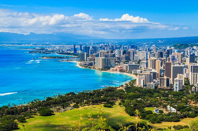 Can You Take Flowers From Hawaii To The Mainland