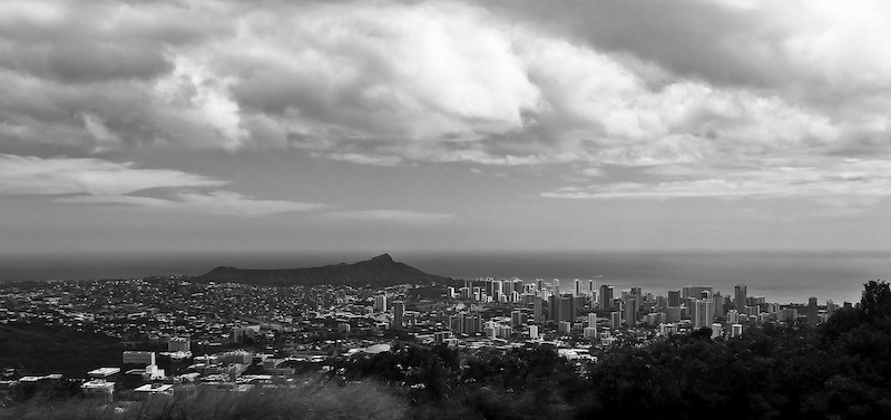 Honolulu Black and White