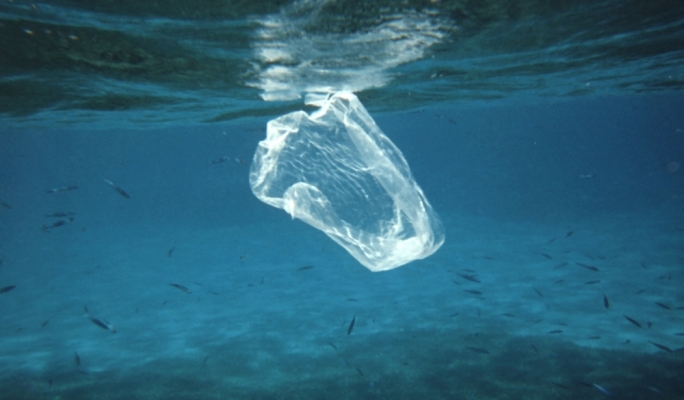 Plastic Bag ban in Hawaii