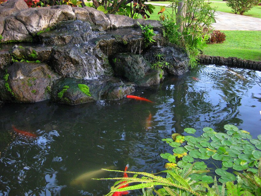 Aqua Kauai Beach Resort