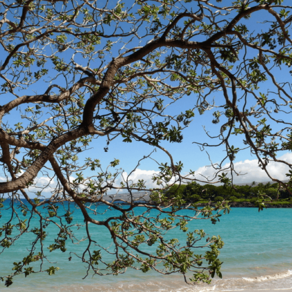 Best beaches in hawaii