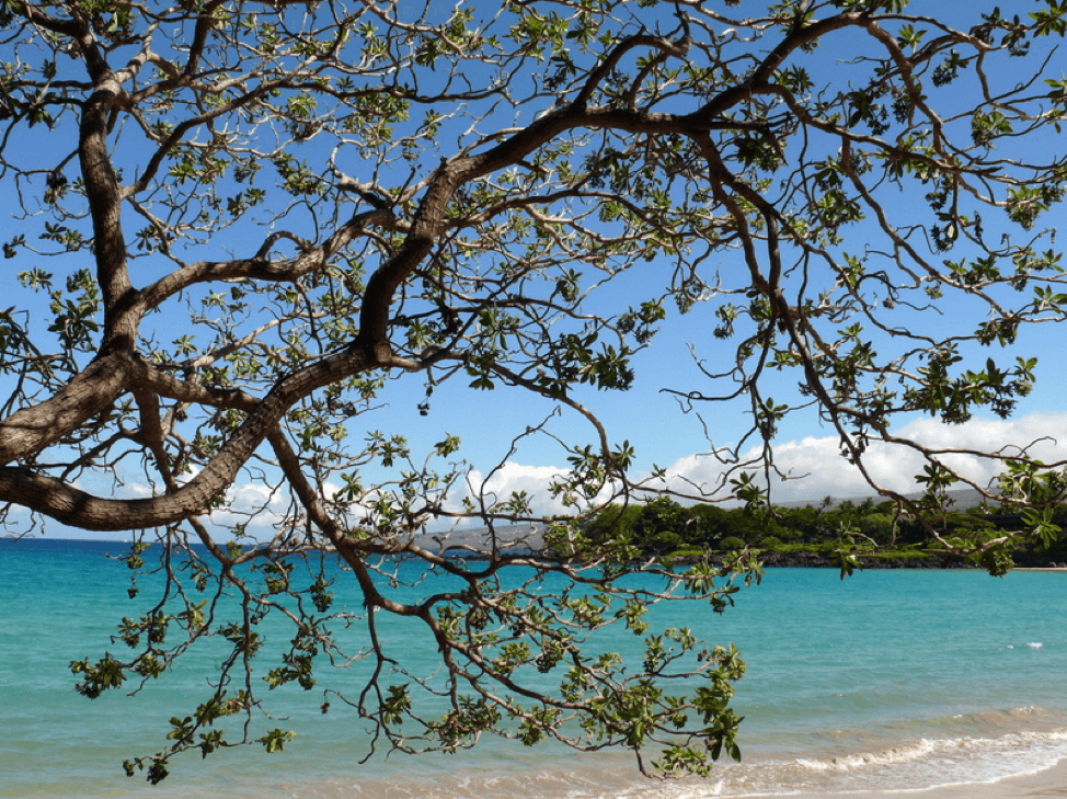 Best beaches in hawaii