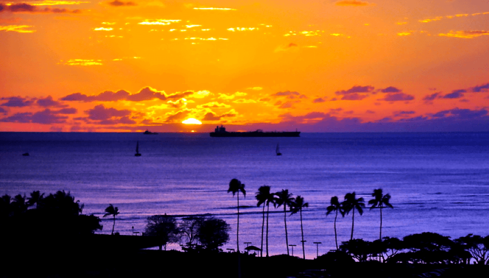 How to bring honolulu home with you